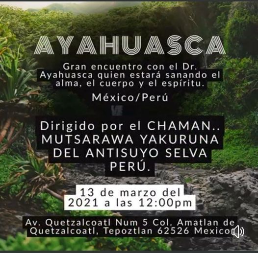 Ceremonia de Ayahuasca M\u00e9xico Per\u00fa Amatl\u00e1n Tepoztlan
