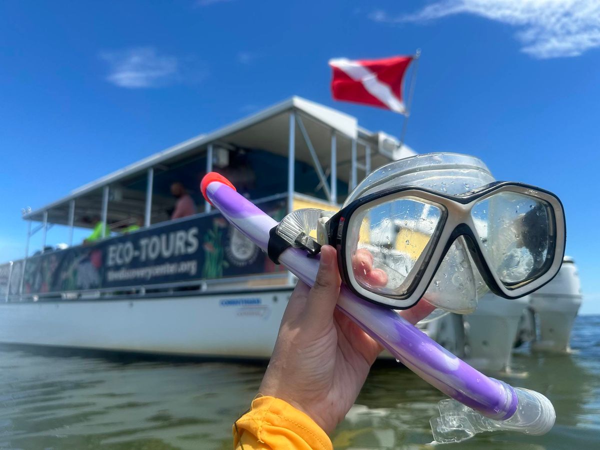 Sandbar Snorkeling Excursion