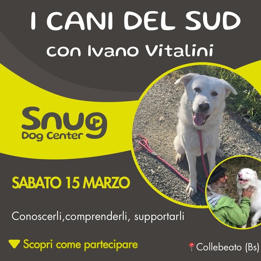 I cani del sud con Ivano Vitalini