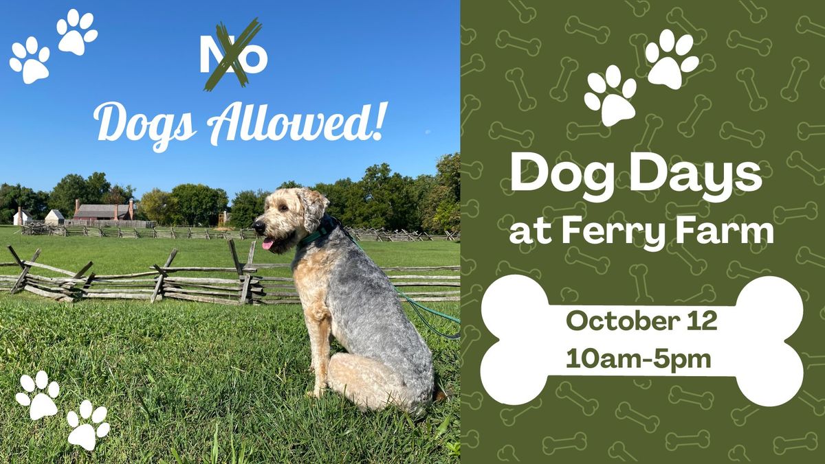 Dog Days at Ferry Farm