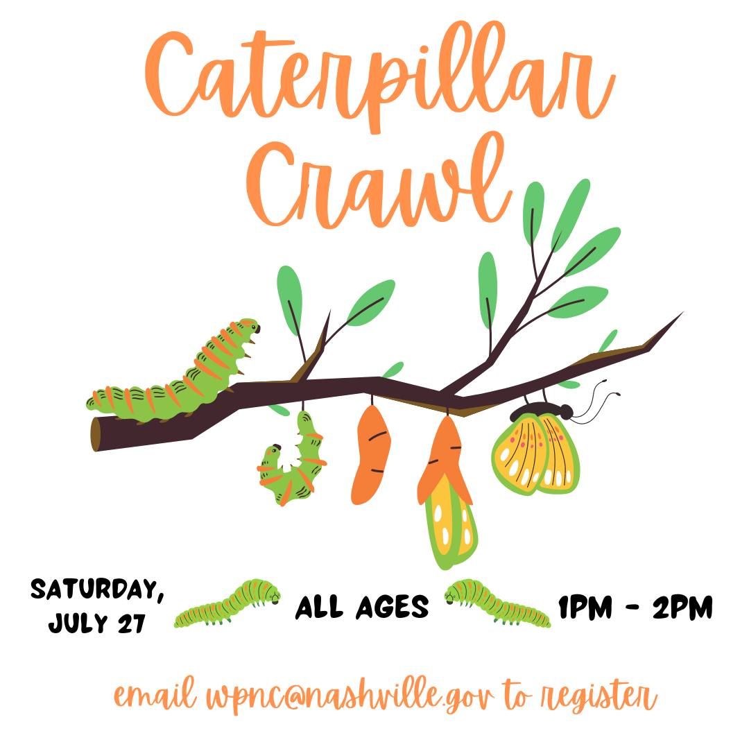 Caterpillar Crawl