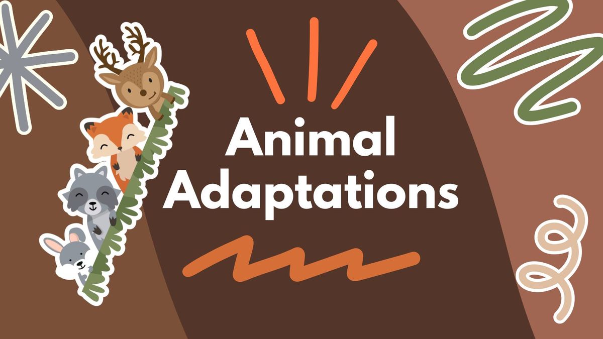 Animal Adaptations [Spring Break Program]