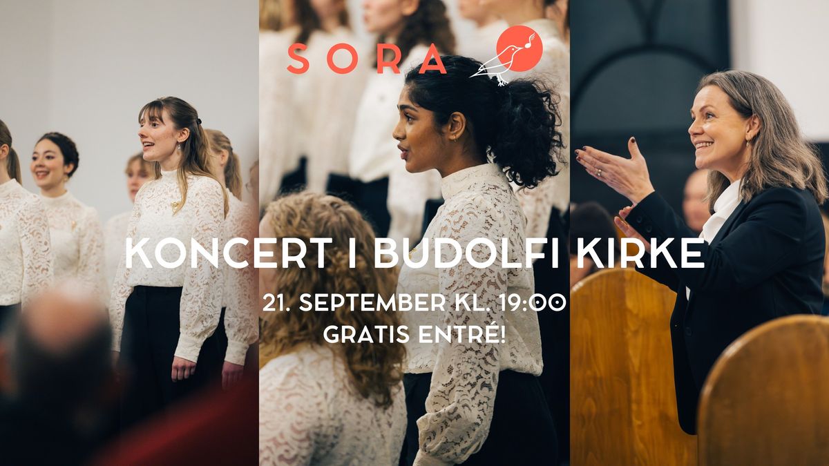 Koncert i Budolfi Kirke med SORA