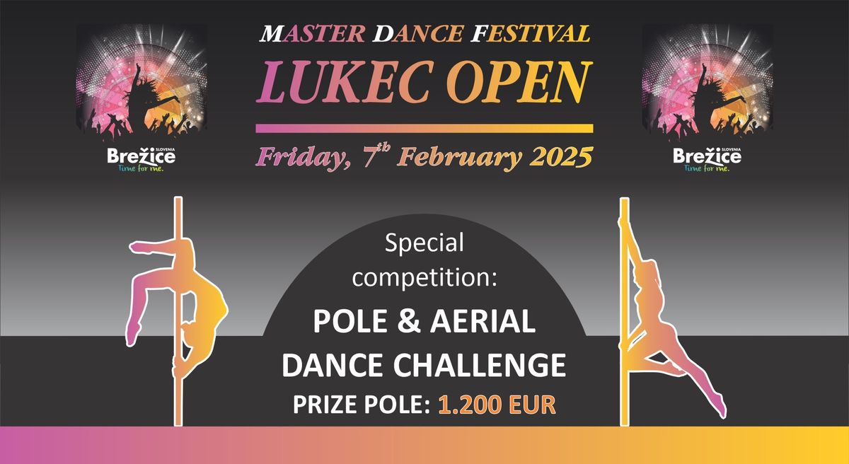 POLE & AERIAL DANCE CHALLENGE