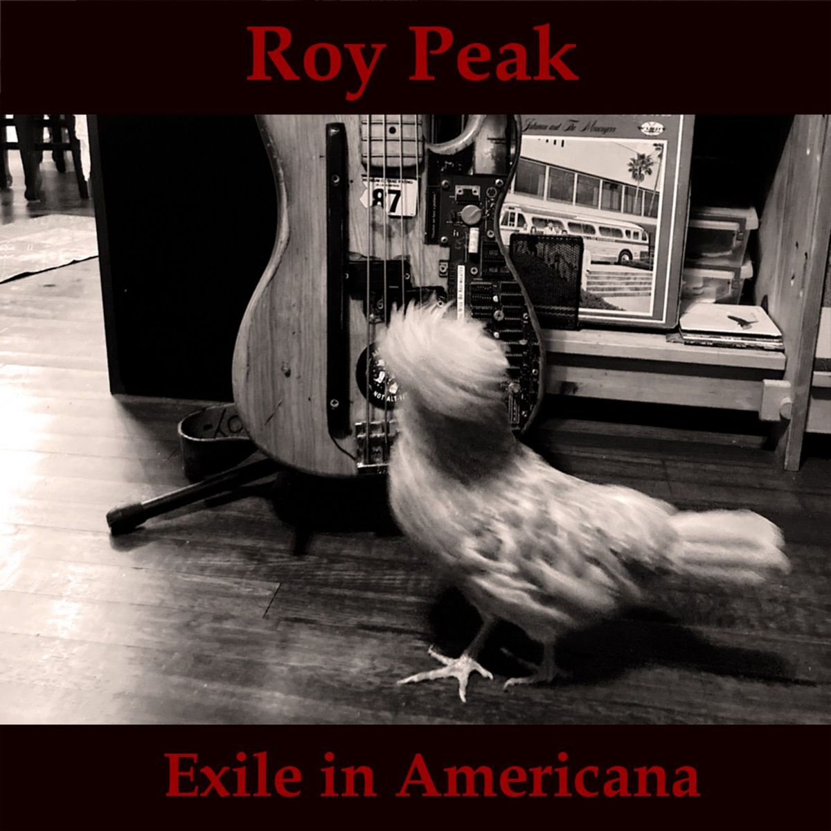 Roy Peak - Exile in Americana album release!