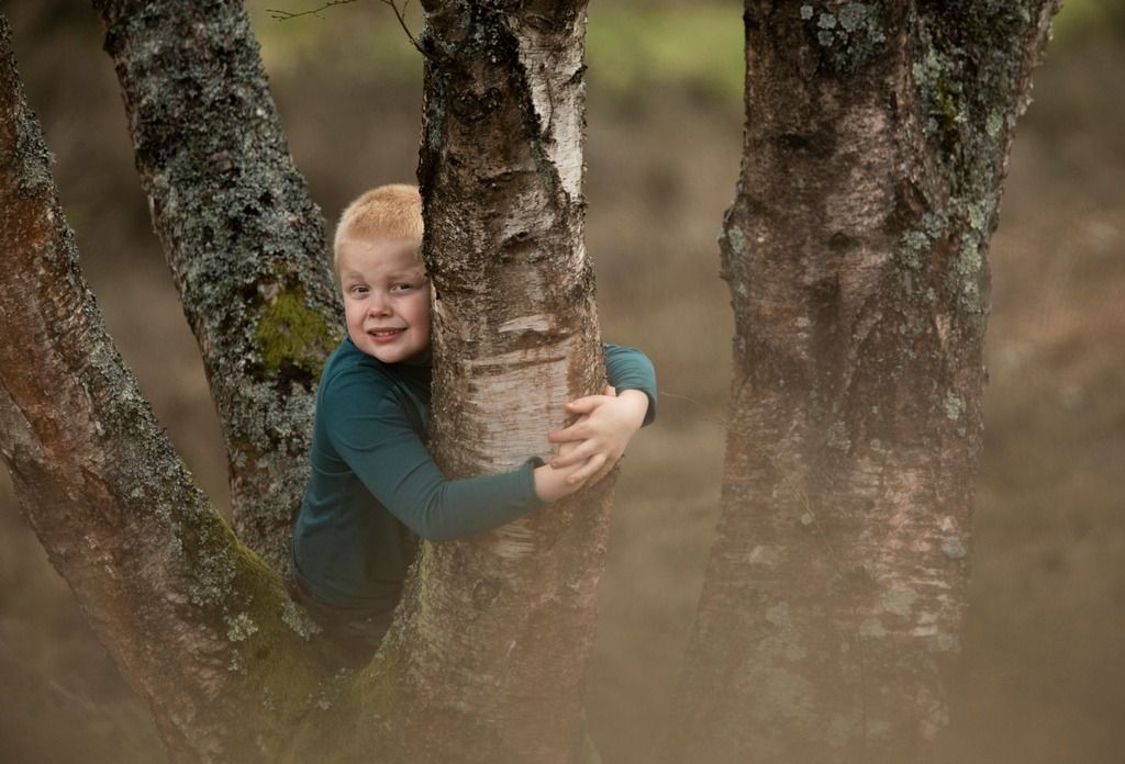 Tremendous Trees