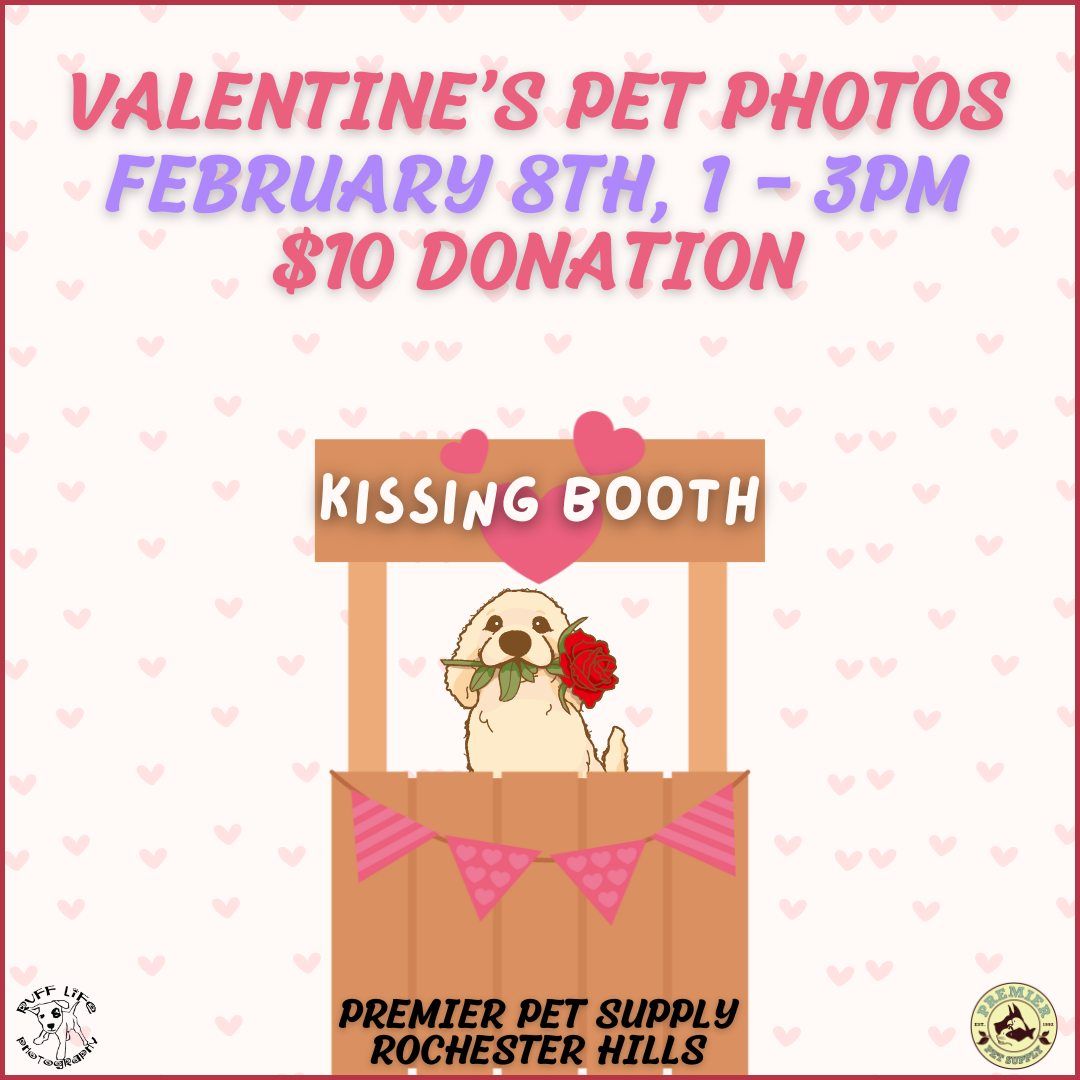 Valentine's Pet Photos W\/ Ruff Life Photography!