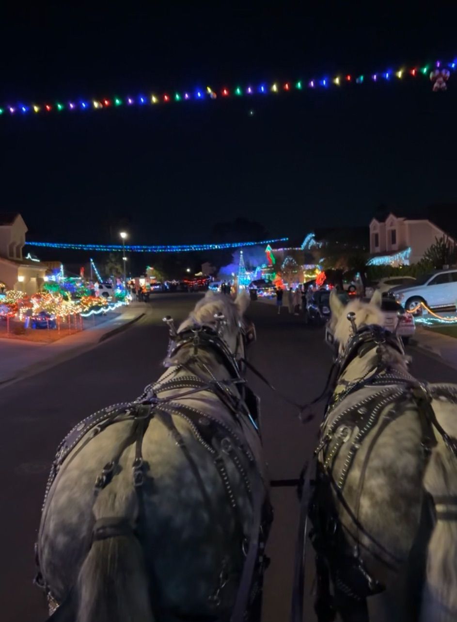 Carriage Rides with Pair A Dice Carriages on Upland Drive