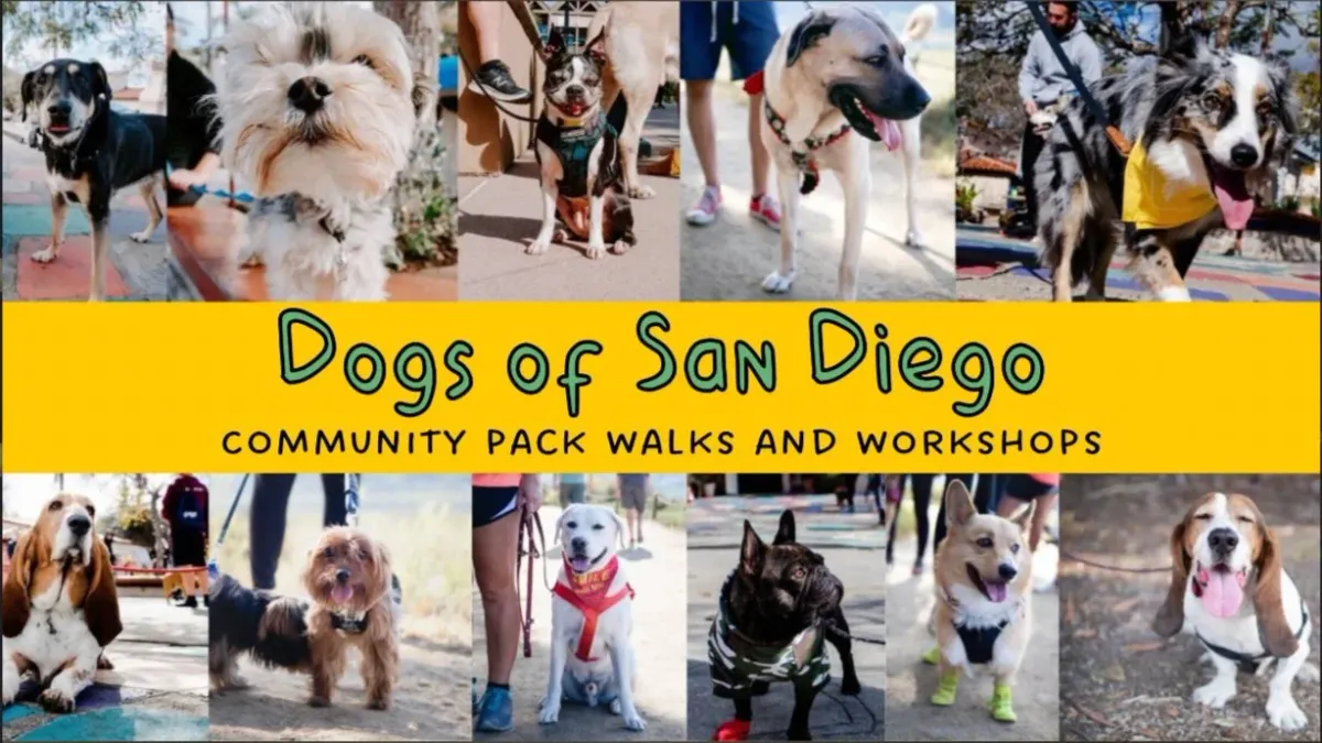 Del Mar Highlands Center Pack Walk