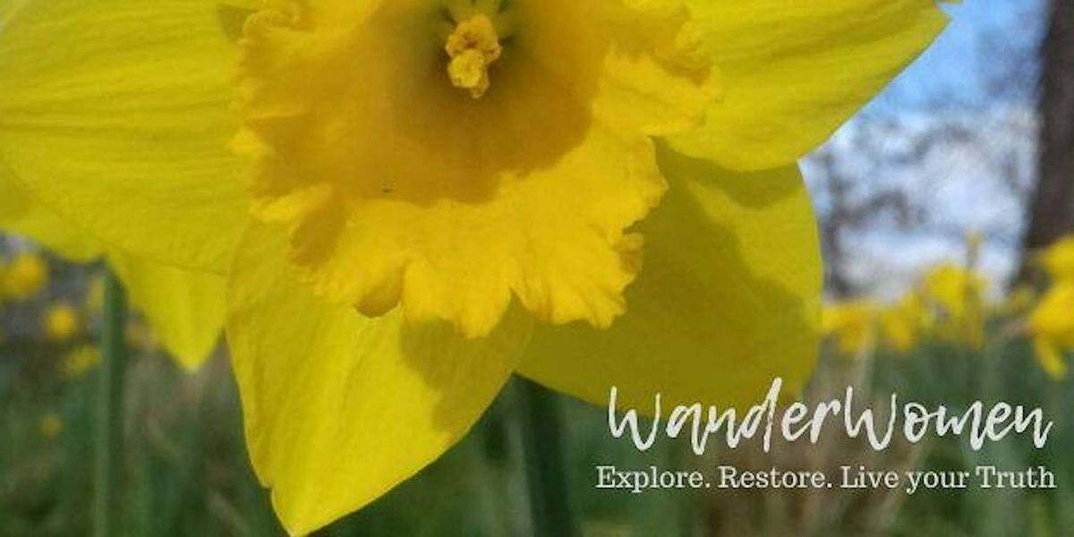 Renewal & Balance: Embracing the Spring Equinox