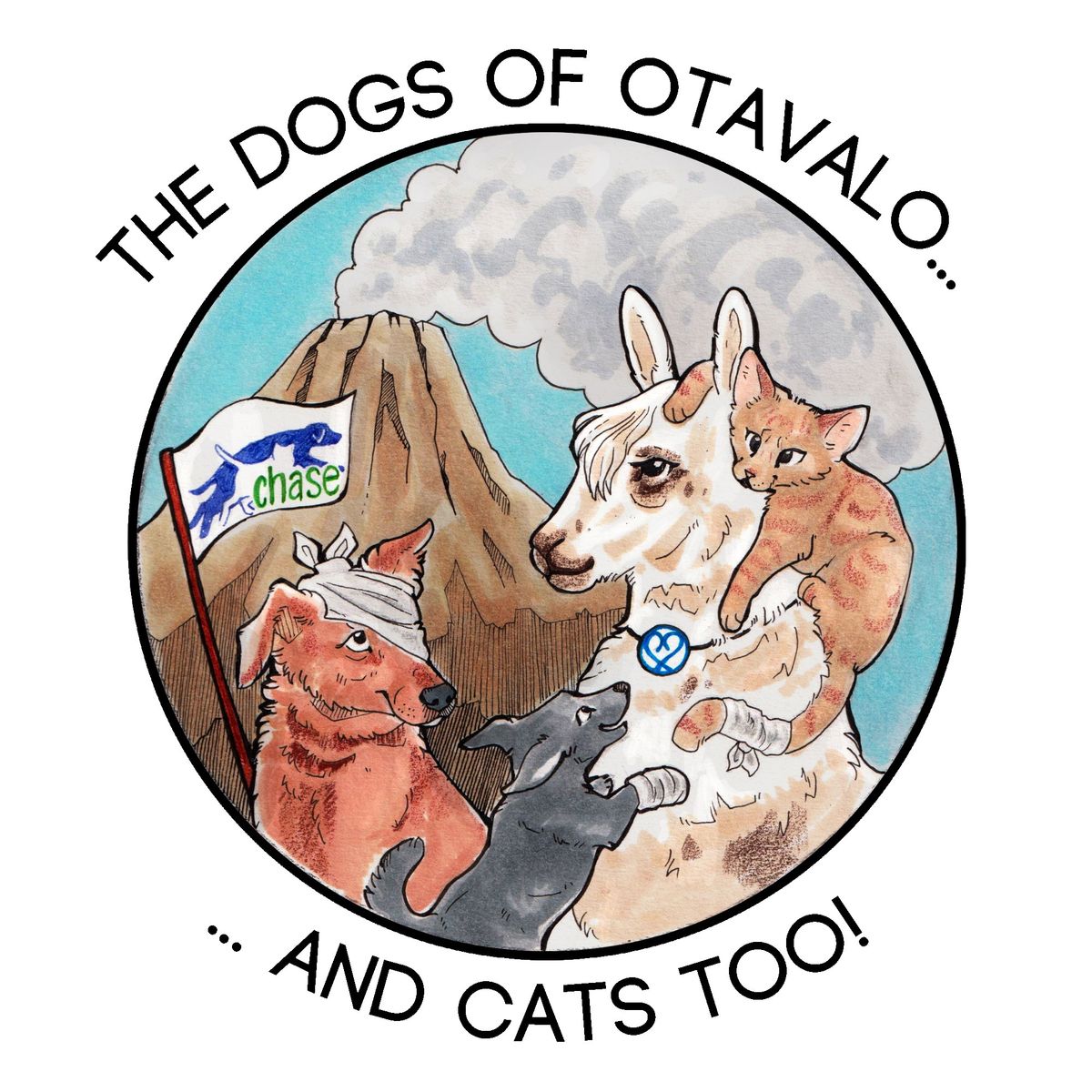 Bingo supporting Dogs of Otavalo, and Cats Too!