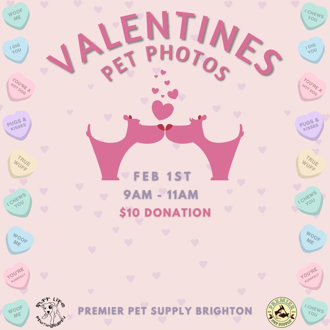 Valentine's Pet Photos W\/ Ruff Life Photography!