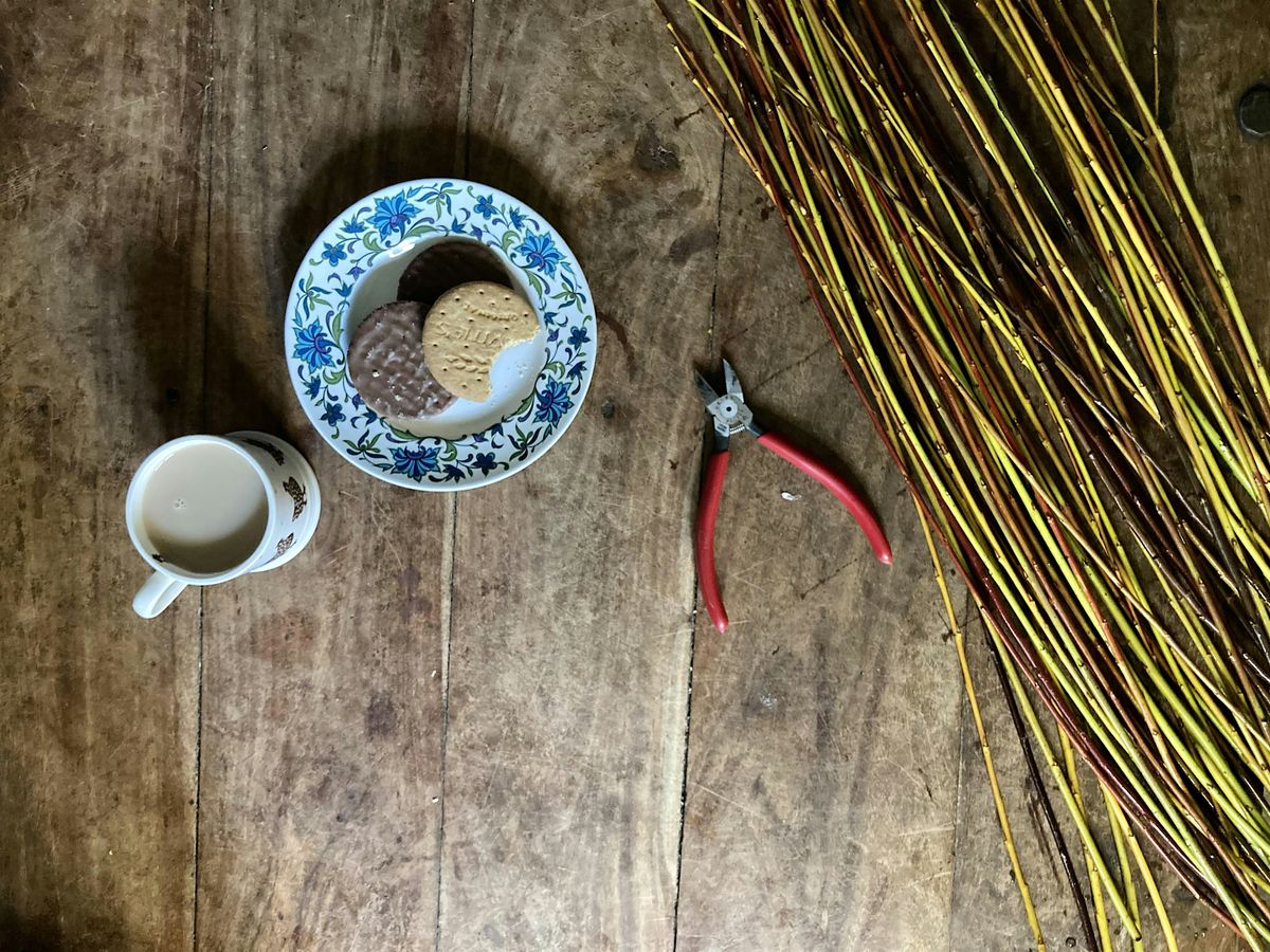 Willow Christmas Star