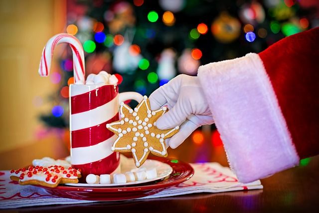 Chris's Cocoa & Cookies with Santa