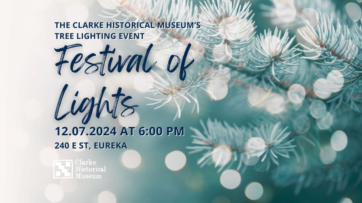 The Clarke Museum's Festival of Lights