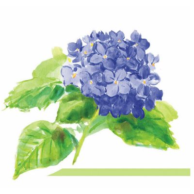 Hydrangea Gallery & Gifts