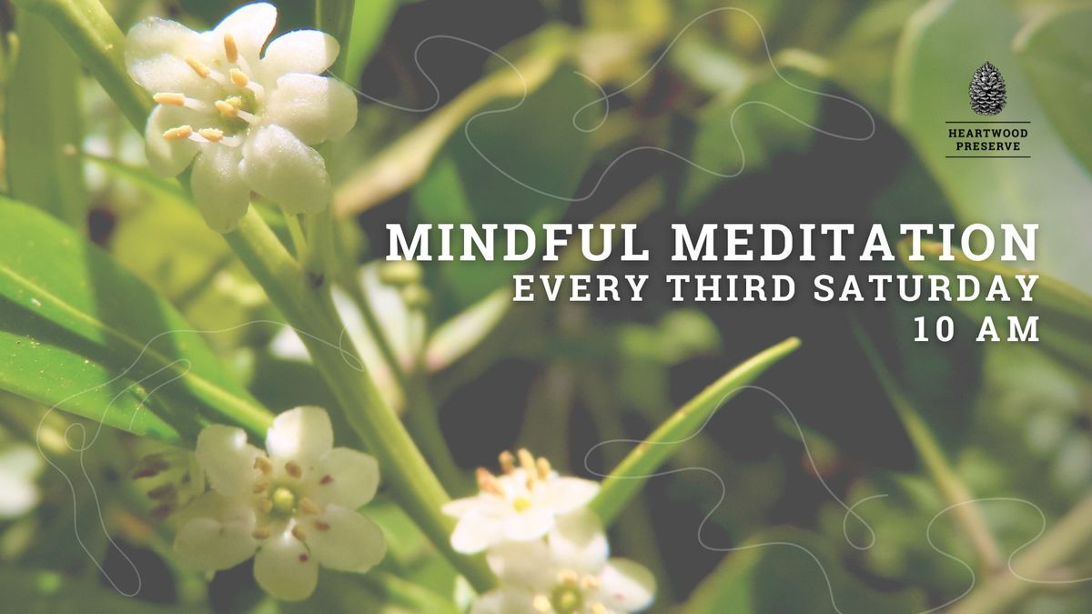 Mindful Meditation