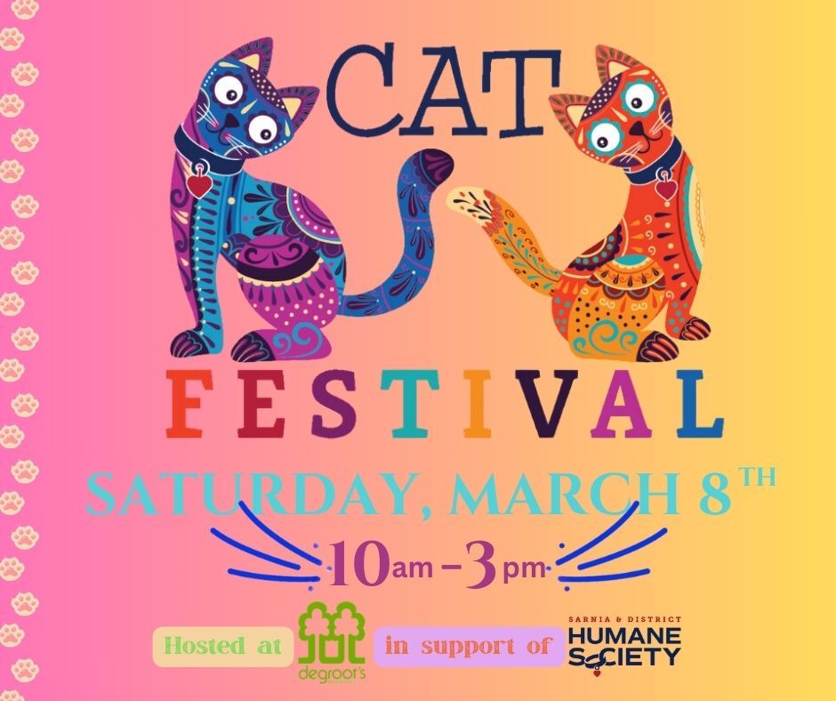 Cat Festival 