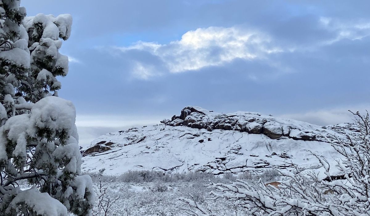 Home for the Holidays Hike