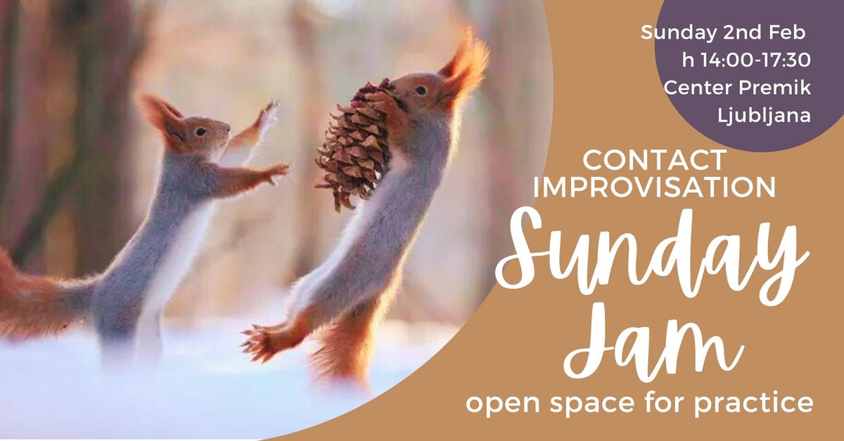 Contact Improvisation SUNDAY JAM!