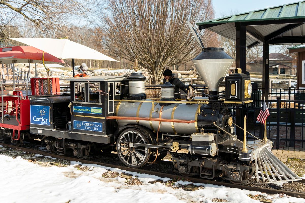 Winter Days at the Zoo