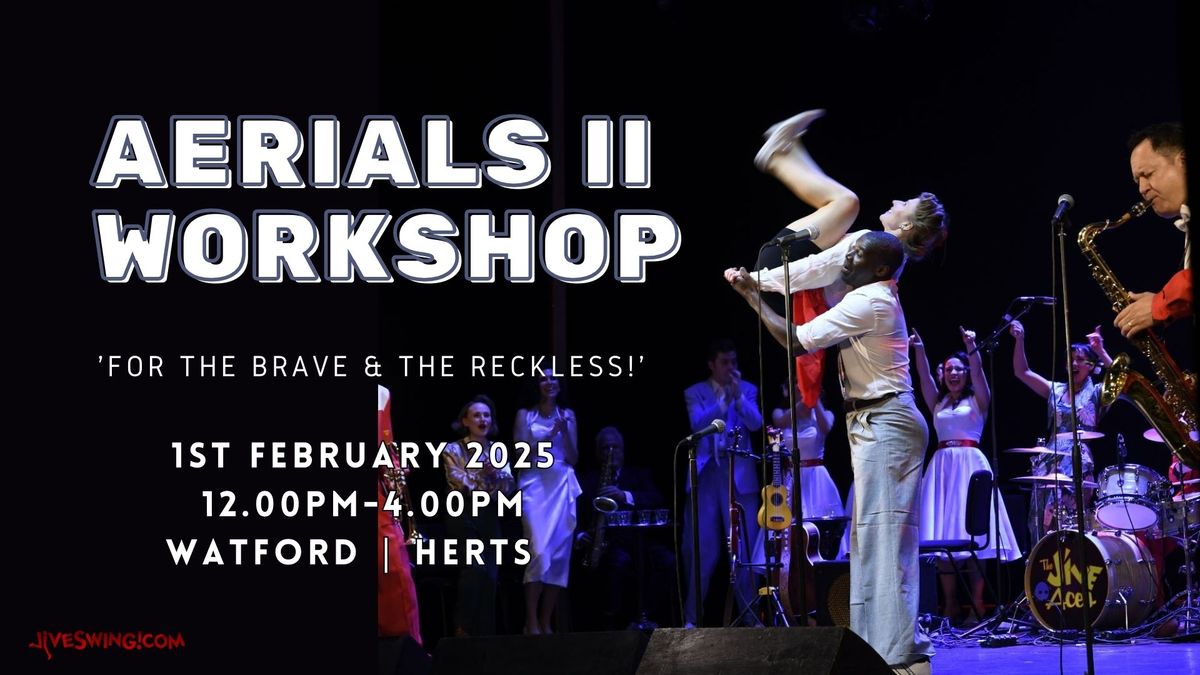 Aerials Level II Workshop- \u2018For The Brave & Reckless!\u2019