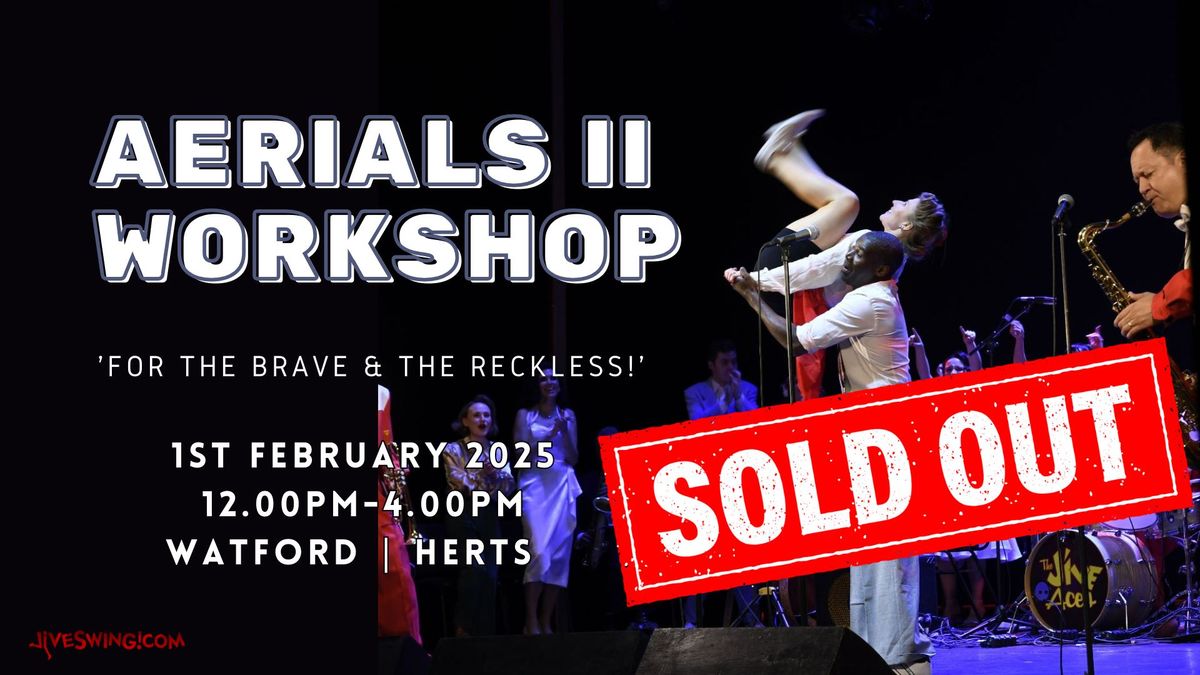 Aerials Level II Workshop- \u2018For The Brave & Reckless!\u2019