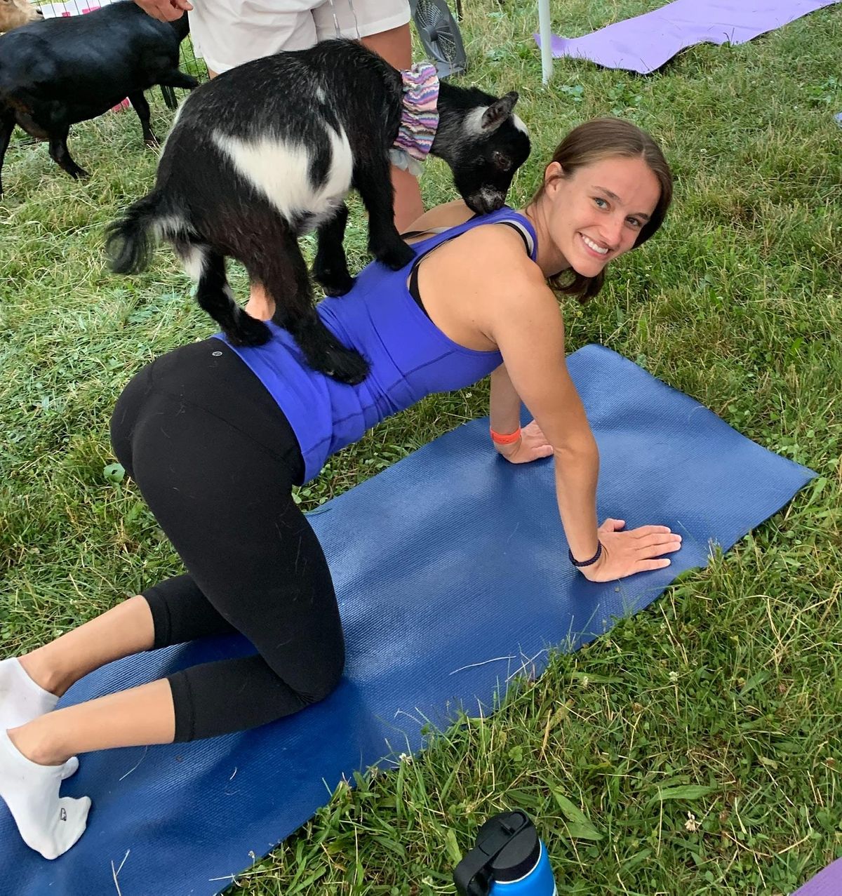Goat Yoga Northport
