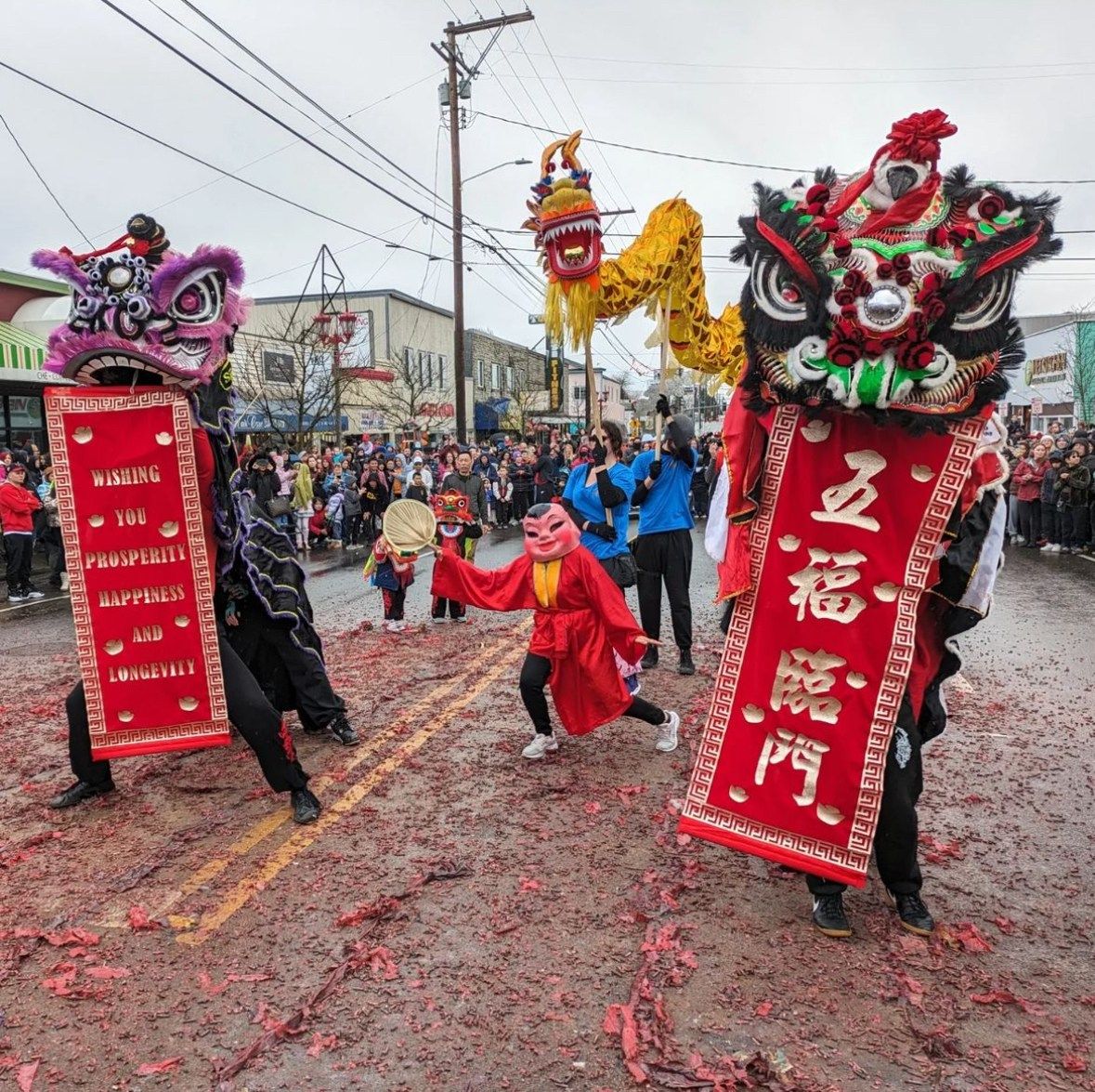 Lincoln District Lunar New Year Festival