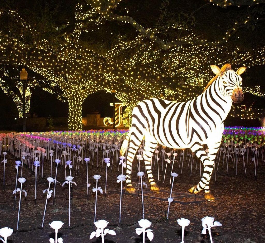 Sexy Zebras Madrid Tickets