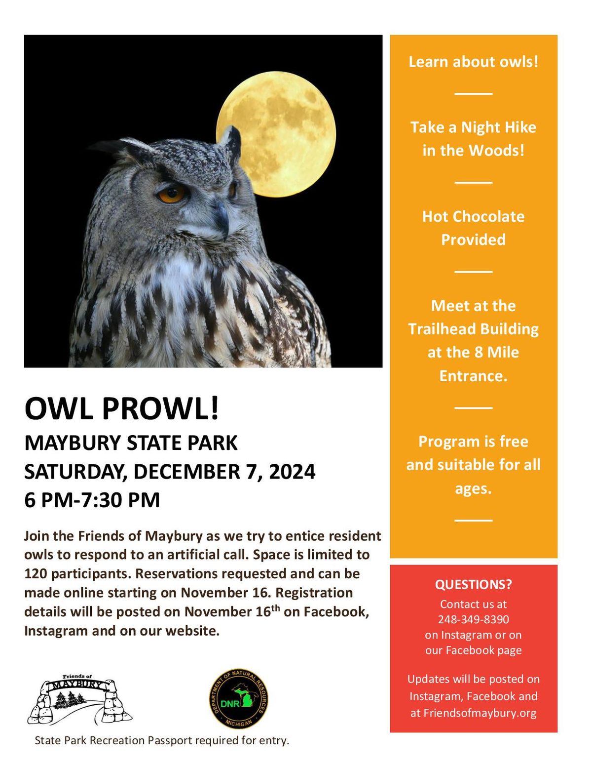 Owl Prowl