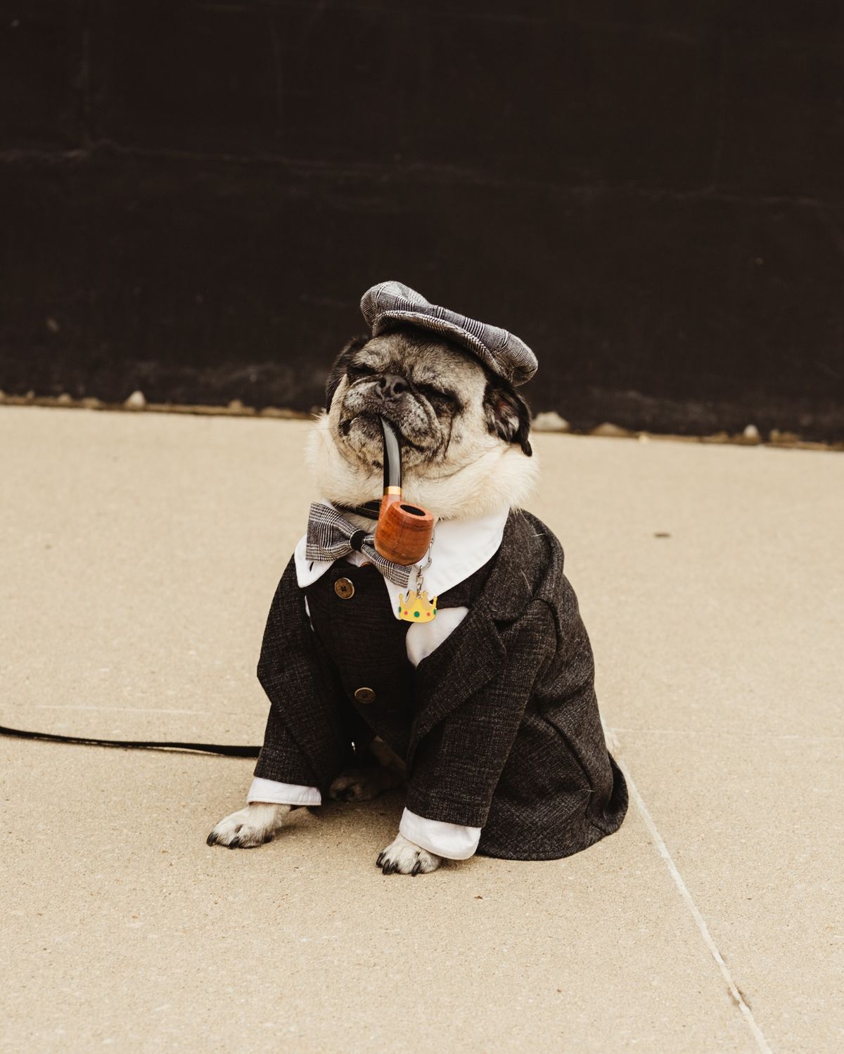 Dog Fashion Show sponsored by Apple Creek Canine Resort