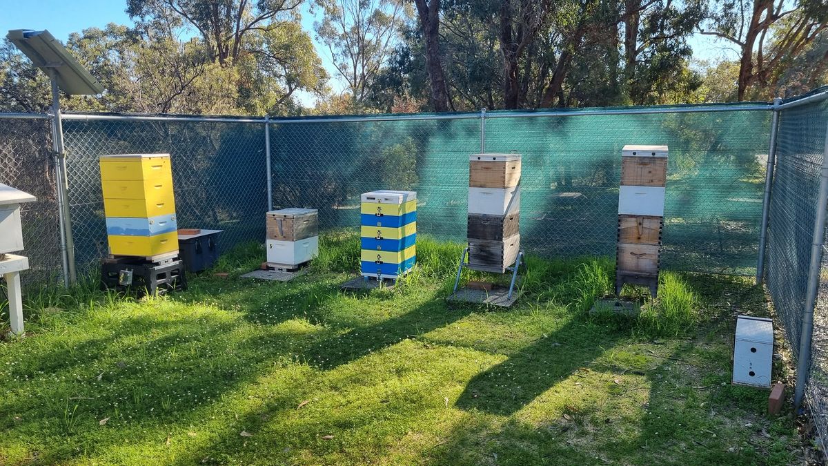 Training Apiary Inspection