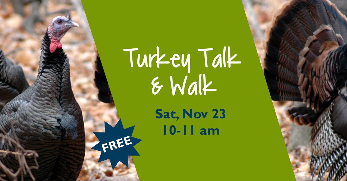 Turkey Talk & Walk