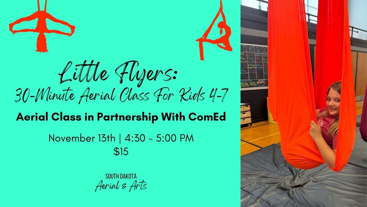 Little Flyers - Aerial Class For Kids 4-7 [SFSD ComEd Class]