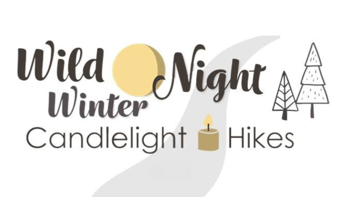 Wild Winter Night: Candlelight Hike at Fox Brook Park