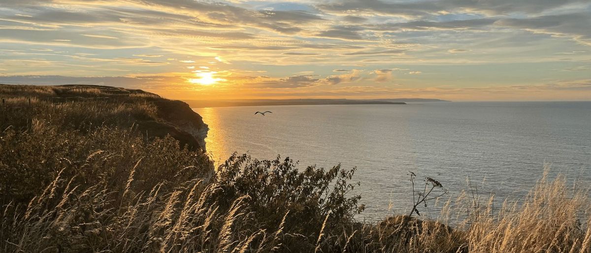 Cliff Top Dusk Walk