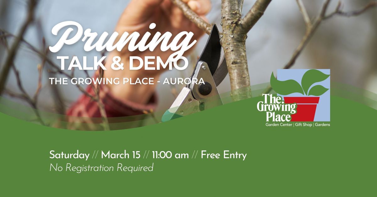 Pruning Talk & Demonstration with Eric Gundersen - Aurora