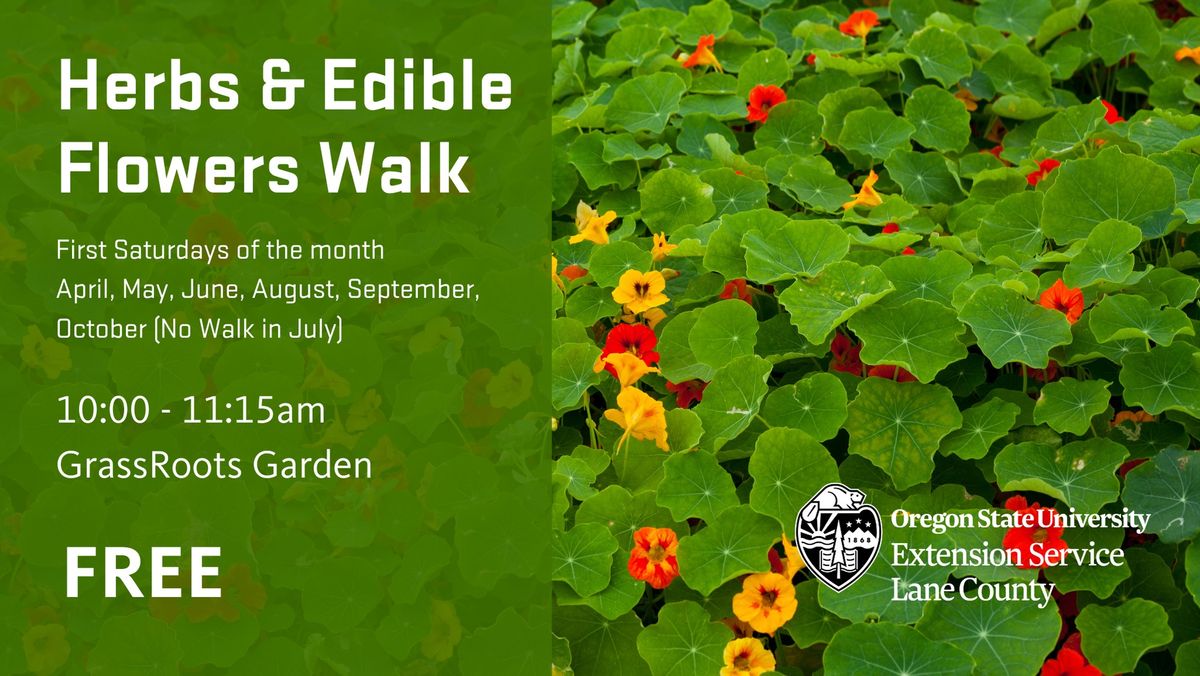 Herbs and Edible Flowers Walk