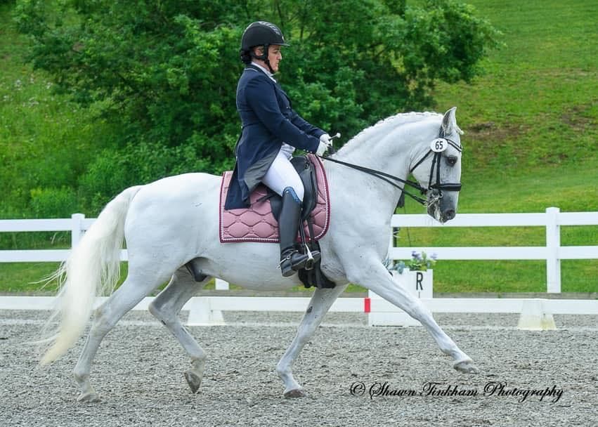 MEC Fun Dressage Schooling FUN Show