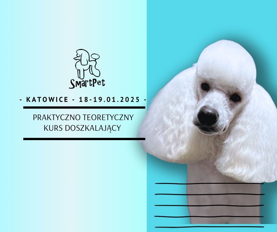 Kurs doszkalaj\u0105cy po podstawowym kursie dla groomer\u00f3w - SmartPet - KATOWICE