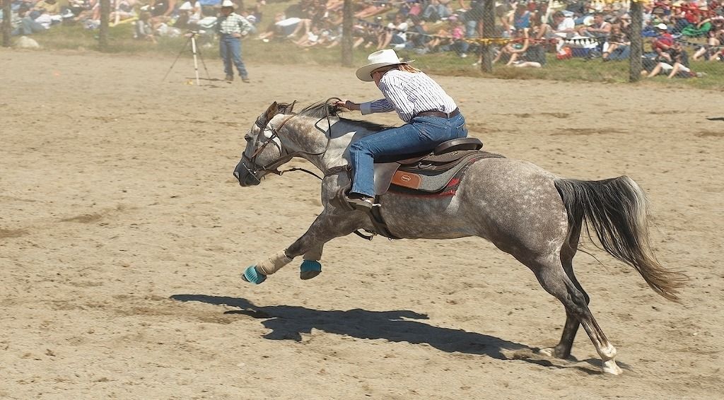 2024 Te Anau Rodeo