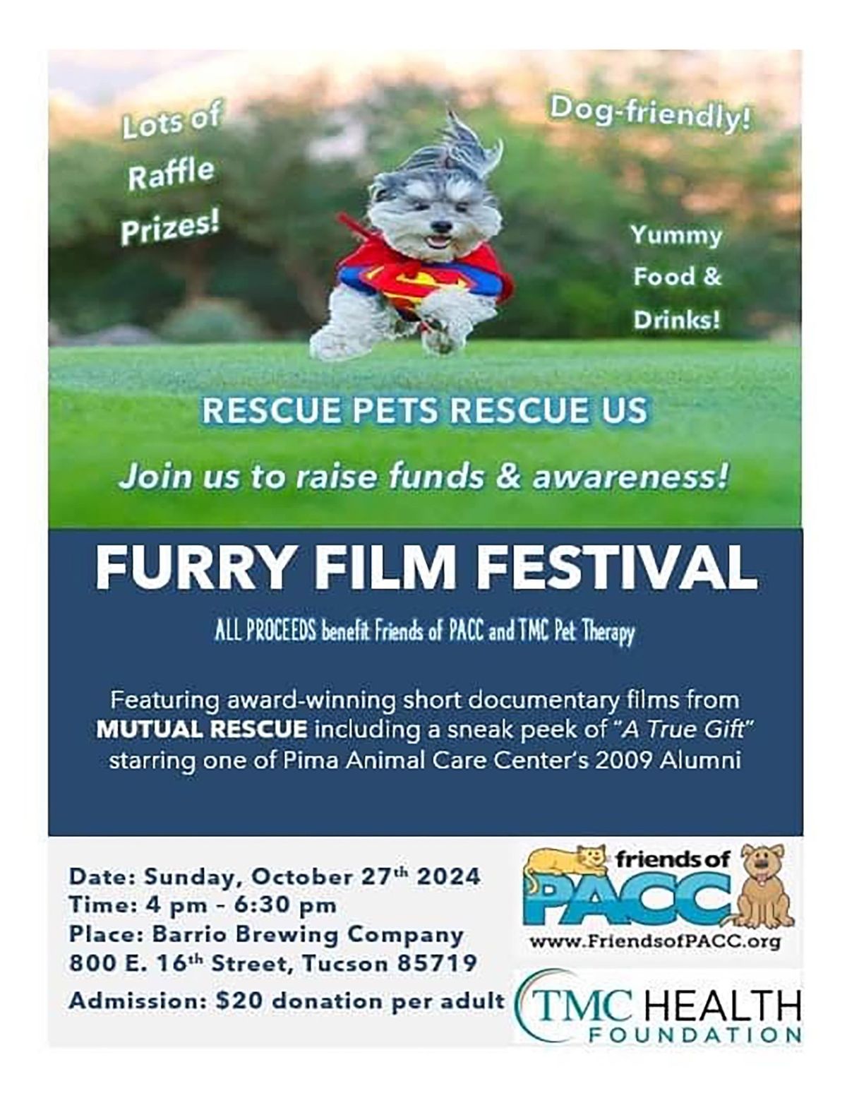 Furry Film Festival Fundraiser