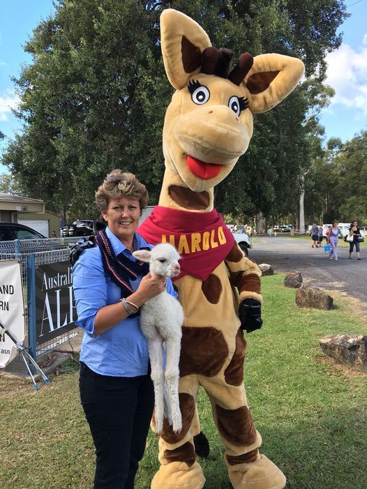 Coffs Harbour Show