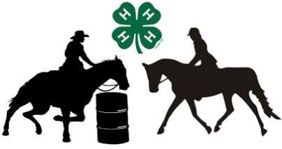 St Clair County 4-H Horseleaders State Qualifying Show