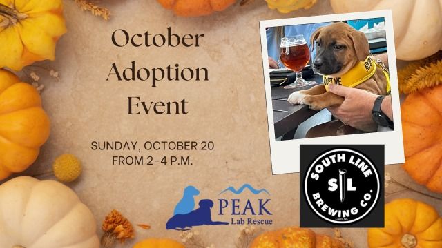 October Adoption Event