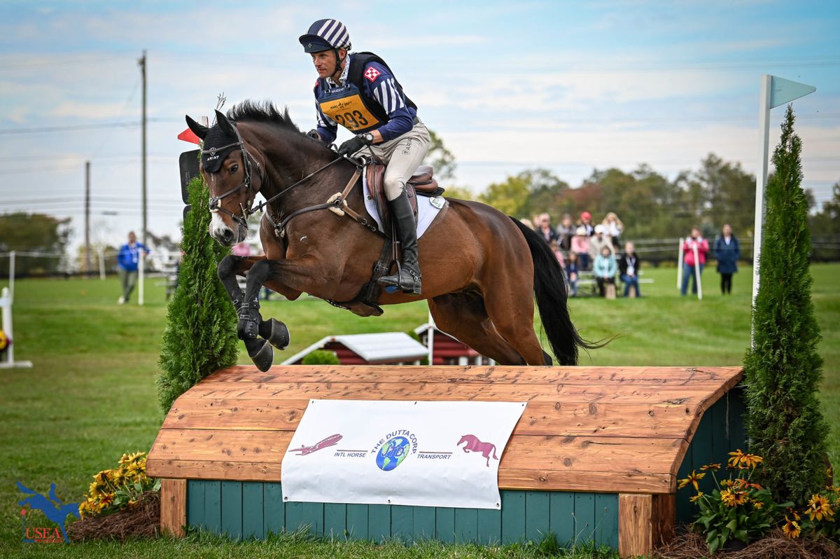 Championship Show Jumping