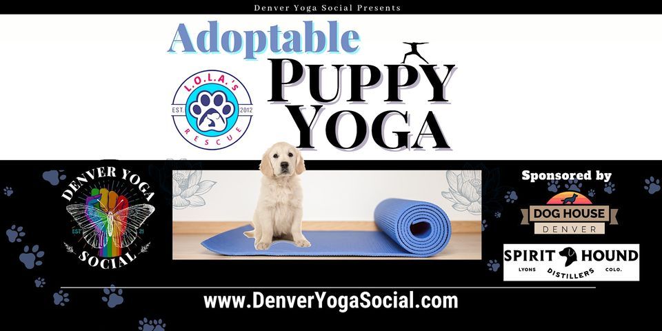 Adoptable Puppy Yoga at the Dog House Denver Sponsored by Spirit Hound