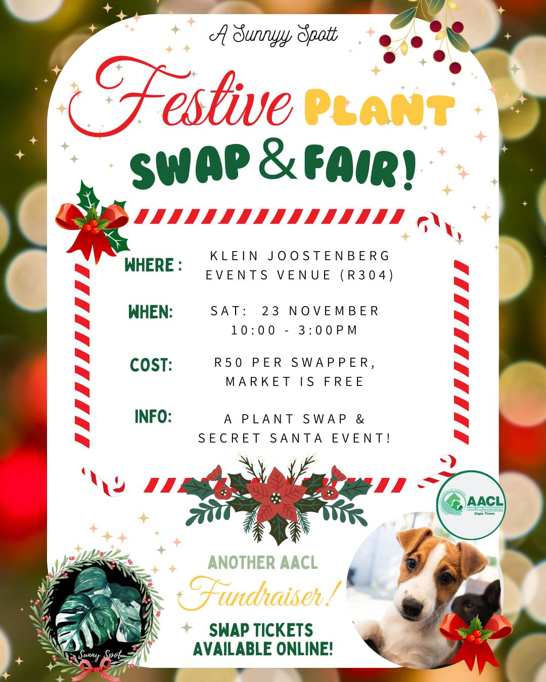 Festive Plant Swap & Market