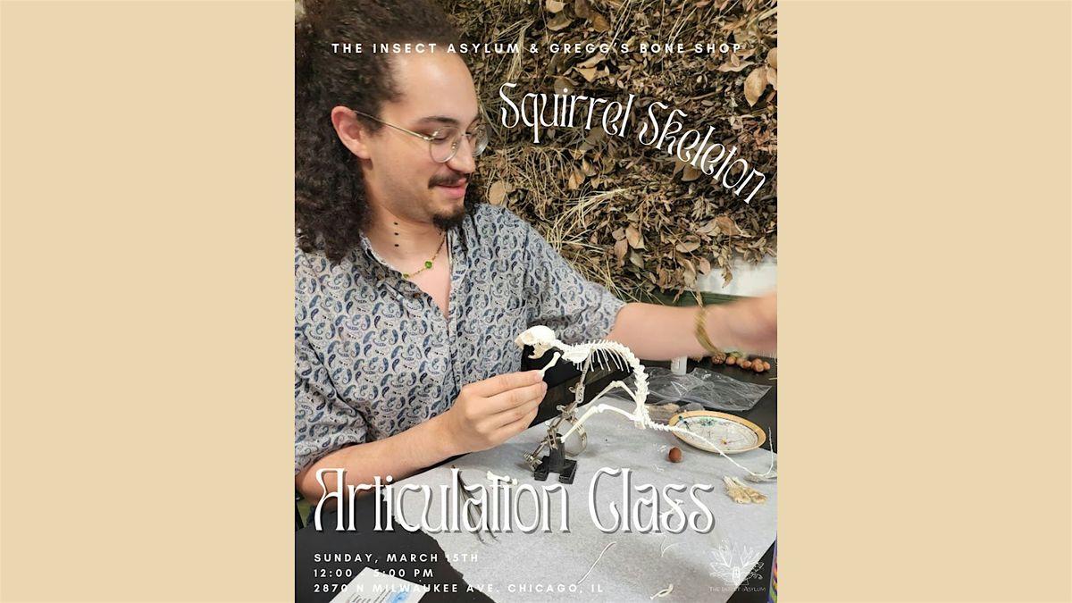 Squirrel Skeleton Articulation Class with Gregg's Bone Shop